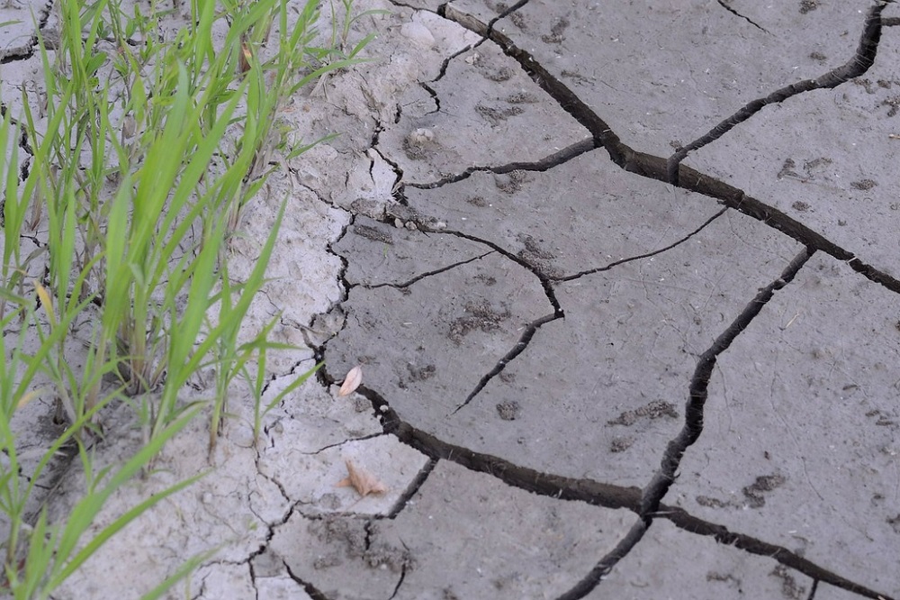 Hoe maken we landbouw weerbaar tegen extreme weersomstandigheden?