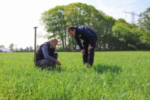 Melkveebedrijf x DLF - Nu het moment om te kiezen voor een graszaadmengsel met droogtetolerantie