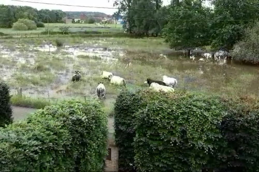 Uitzonderlijke regenval dwingt tot verschillende versoepelingen