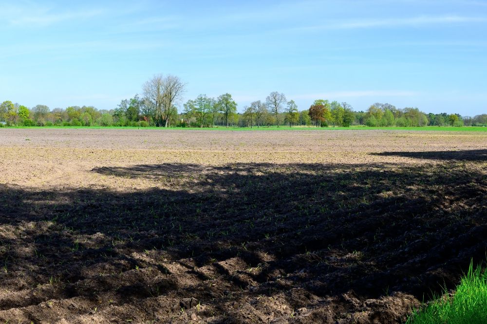 Kerncijfers van de Vlaamse landbouw