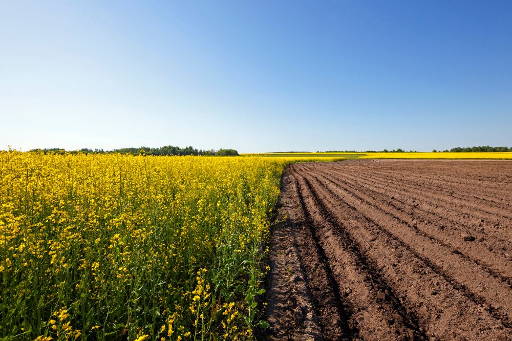 De wijzigingen van het Gemeenschappelijk Landbouwbeleid op een rijtje