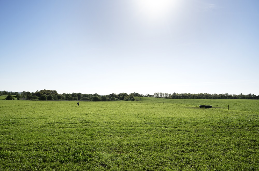 Van het juiste graszaadmengsel kun je jarenlang profijt hebben