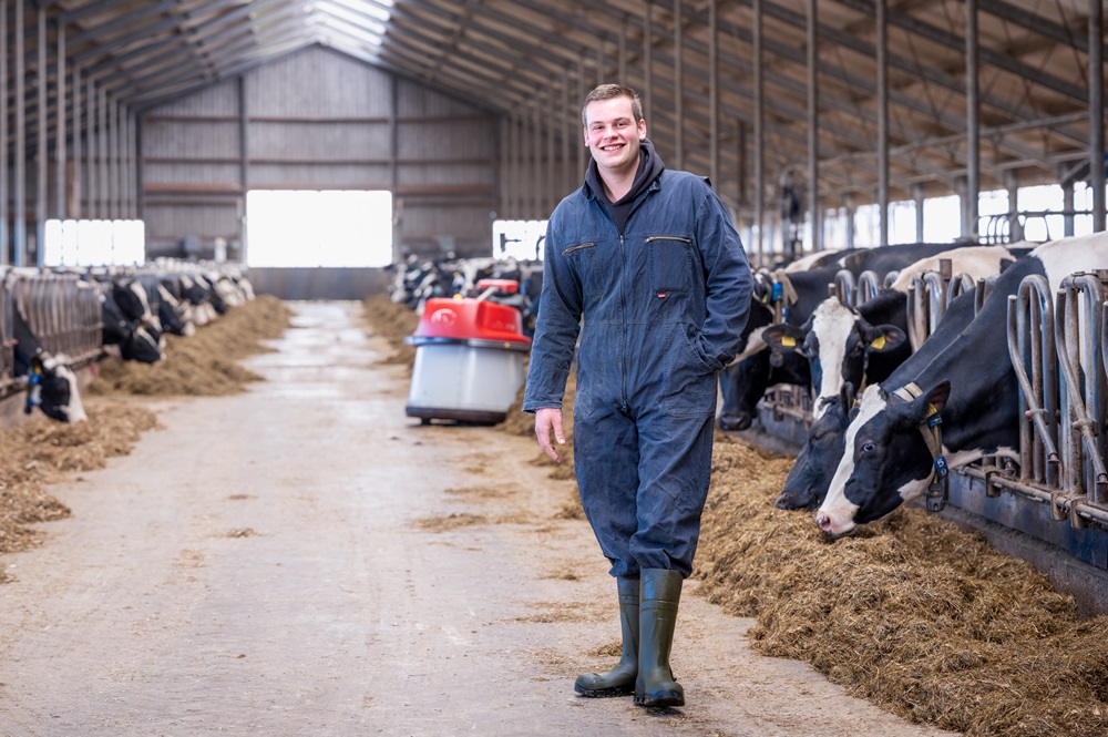 Lely Juno Altijd vers voer voor het voerhek is goed voor de koe