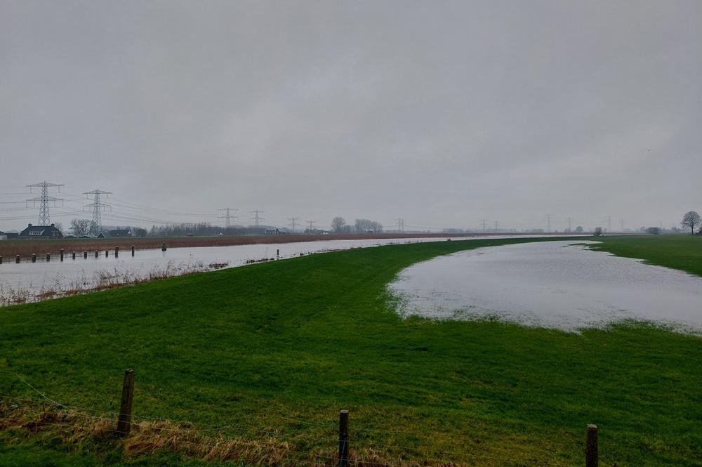 Wat kost een slechte grasmat?