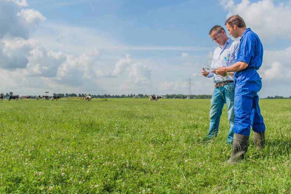 Water laat zijn sporen na in het grasland 35315