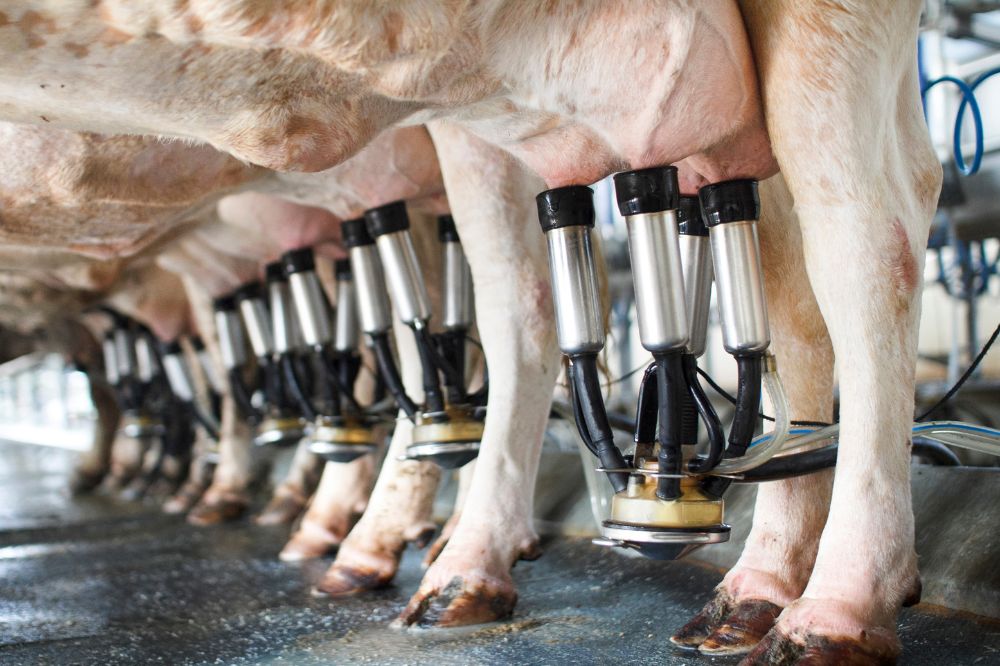 John Deere en DeLaval lanceren het Milk Sustainability Center