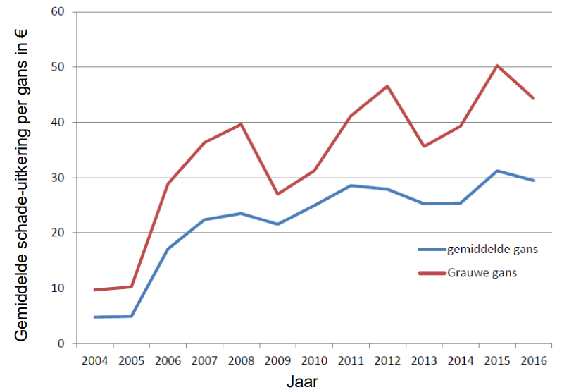 Jaarrond kostprijs per gans in Friesland per jaar, gebaseerd op de jaarlijkse uitgekeerde schadebedragen en het aantal ganzen (gemiddeld over alle ganzensoorten waarvoor schade is uitgekeerd) (Bron: Latour et al., 2019)